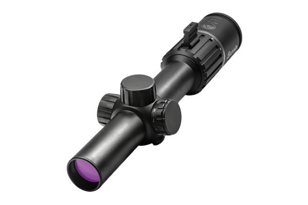BURRIS SCOPE RT6 1-6X24 30MM ILLUMINATED BALLISTIC AR MATTE - for sale