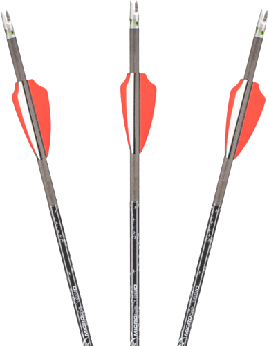 AXE CROSSBOW MICRO BOLT .166" W/RED LIGHTED NOCK 18" 3PK< - for sale